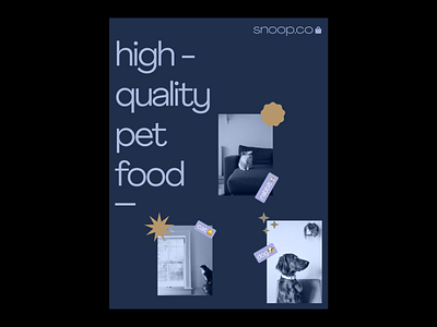 Snoop.co • Food pet • Brand strategy and elements brand strategy branding foodpet foodtech packaging design poster design