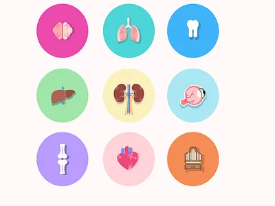 Organs biology childrens book design icon illustration kids illustration minimal