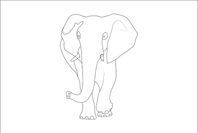 one line art animal art color line art continuous line continuous line art elephant art flower line art graphic design illustrator design minimalist line art one line art one line drawing portrait art
