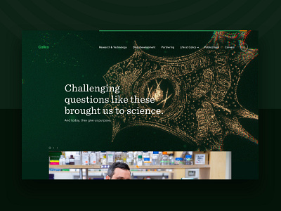 Calico Labs 3d animation bio biotech canvas cell cells design green homepage mainpage particles science threejs ui ux web webdesign webgl website