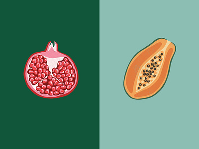 Fruit Icons brand elements brand icons branding design digital icons fruit fruit design fruit elements fruit icons fruit illustration fruit logo icons illustrated icons illustration package design papaya pomegranate