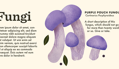 Purple pouch fungus