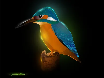 Glowing Kingfisher Illustration bird bird illustration birds color colorful creative creative design creativity digital digital art digital illustration digital painting digitalart glossy glow glowing glows illustraion illustration illustration art