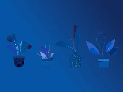 Spotify Everywhere design illustration plants vector