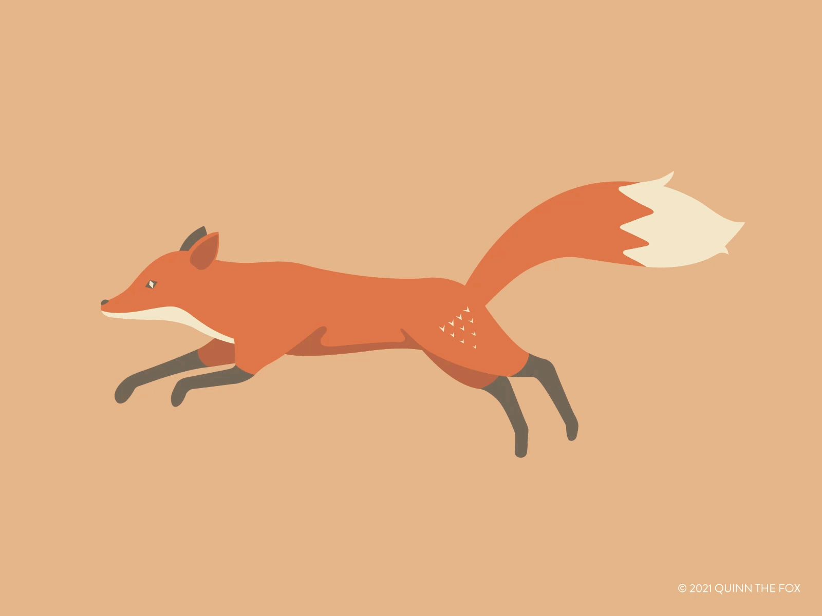 Quinn the Fox Run Cycle animals animation animation 2d cool cute fox fun illustration nature run run cycle running