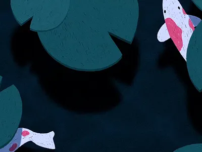 koi pond 2d 2d animation animated animation cel animation fish frame by frame koi photoshop pond traditional animation