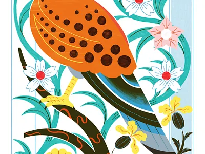A Kestral for a Knave - RIsograph Print colour design editorial editorial illustration nature print risograph