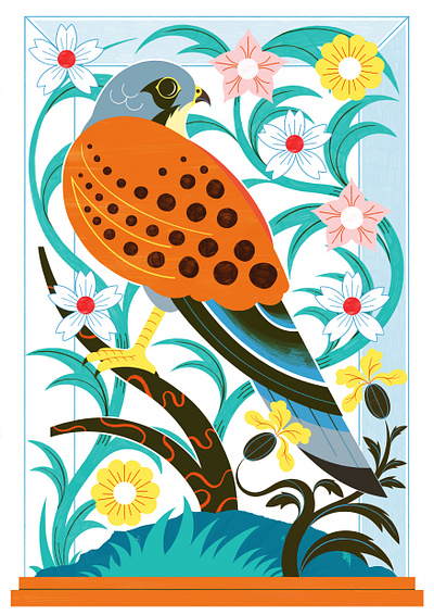 A Kestral for a Knave - RIsograph Print colour design editorial editorial illustration nature print risograph