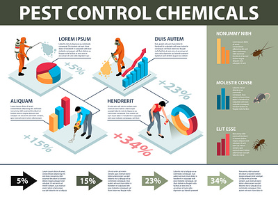 Pest control infographics control illustration isometric pest service vector