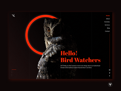 Bird Watching - Landing Page Exploration animal animals app bird bird watchers bird watching black black white branding dark theme dashboard design glow gradient landingpage owl web web page design website zoo