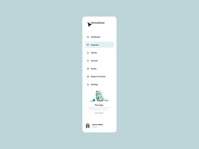 Sidebar Navigation - Tooltip Exploration animation app cat dashboard expandable explainer financial green hover illustration modal netguru platform scalable side menu sidebar system tooltip webdesign