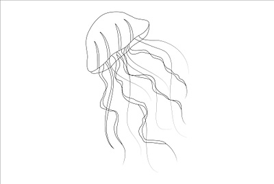 one line art botanical art color line art continuous line art flower line art graphic design illustrator design minimalist line art one line art one line drawing woman line art