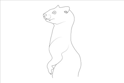 one line art color line art continuous line continuous line art flower line art graphic design illustrator design minimalist line art one line art one line drawing portrait art