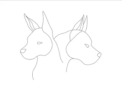 one line art color line art continuous line continuous line art flower line art graphic design illustrator design minimalist line art one line art one line drawing portrait art