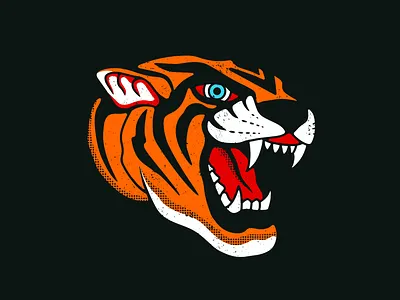 Tiger Illustration american traditional animal illustration big cat illustration orange stripes tattoo tattoo art tattoo design teeth tiger tiger logo tiger tattoo tigers