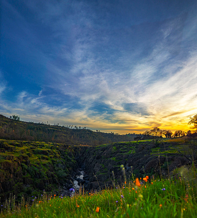 Upper Park calm canyon green nature outdoor park sunset wildflowers