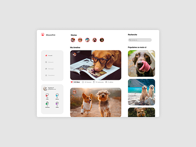 BloomPet Website design desktop like pets social network ui ux web website