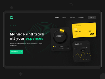 Track Expenses application creditcard dailydesign dark expenses homepage landingpage manage money track ui ui design ux visa website websites