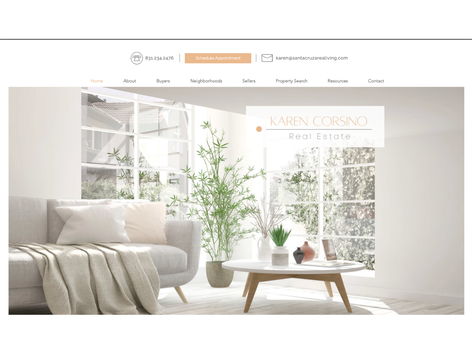 Example of Realtor Website Design