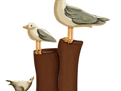 Seagulls illustration