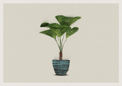 Ilustração pessoal brushes editorial illustration flat illustration illustration illustrator ilustración digital ilustração photoshop planter plants textures