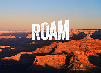 Roam Branding & Photography creative design photography