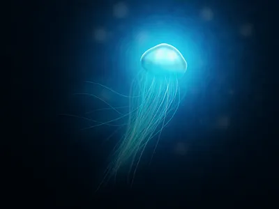 Jellyfish blue fluo illustraion jellyfish playoff