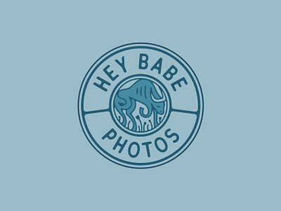 Hey Babe Photography 2 babe branding circle emblem field flowers hiking logo minnesota ox photographer photography photos seal stamp