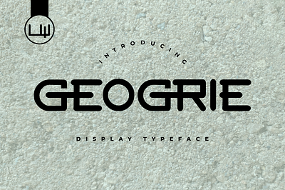 GEOGRIE animation app branding cover design display font font luxury design sans serif typeface typography