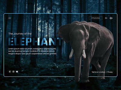 The Journey of Elephant - Landing Page Design branding design elephant elephant template elephant theme minimal web template webdesign website design website template