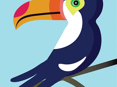 t 3x colorful design illustration toucan