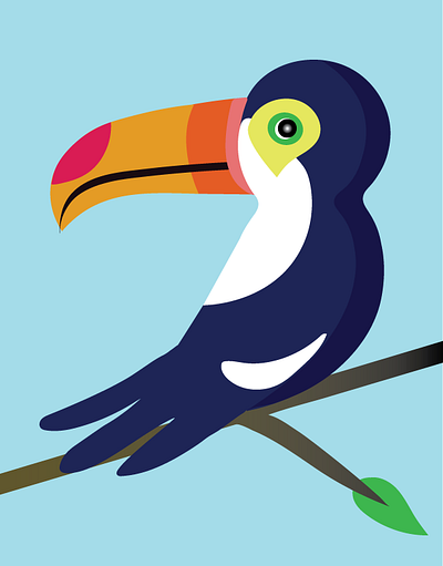 t 3x colorful design illustration toucan