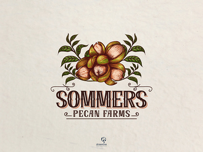 Retro style logo illustration for agriculture agriculture logo art art direction artisan artwork branding classic farm hand drawn illustration logo logo design logodesign pecan retro vector vintage vintage design