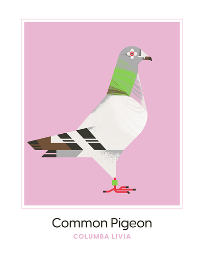 le pigeon animal bird character design fly geometric green illustration pigeon pink pink hair texture vector