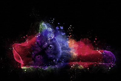 Colorful Cat | Animal Art Design 3d animal art branding design graphic design illustration logo ui vector