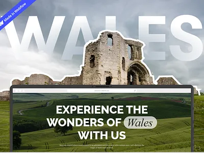 WebFlow | Travel Website animation design figma illustration low code motion graphics nature tourism travel ui uxui web design web development webflow website