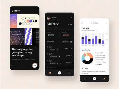 Kapital - Personal Finance Mobile App android app design application design bank app banking app finance finance app financial financial app fintech fintech app ios app ios app design mobile app mobileapp money transfer app product design ui uiux ux ux ui design