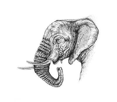 Elephant art artwork drawing illustraion illustration ink