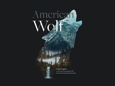 Warmup – Wolf Collage illustration layout photoshop poster