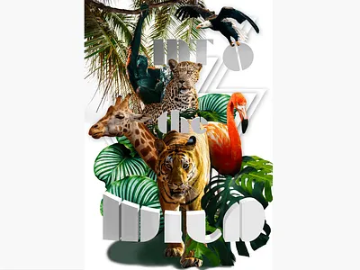 Into the wild advertising designs wild