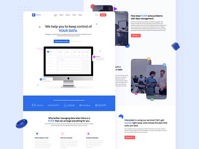 Flick.Io - Web Design for Data Management Services exploration landing page ui ui ux ux