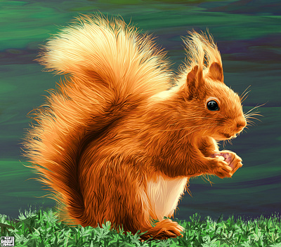 Squirrel painting a.taymour abdelrahman taymour animals art artwork drawing drawings illustration taymour vector art vector illustration