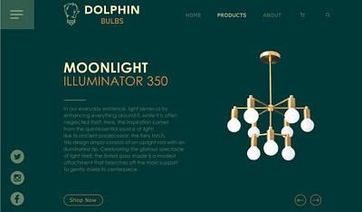 Dolphin bulbs web page design art branding design graphic design illustration ui ux vector web