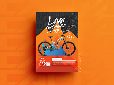 Dribbble capra