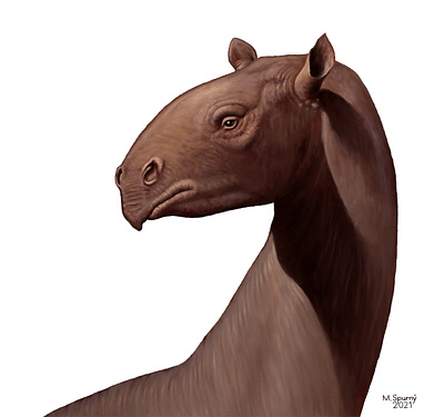 Indricotherium animal extinct illustration painting paleoart paleontology
