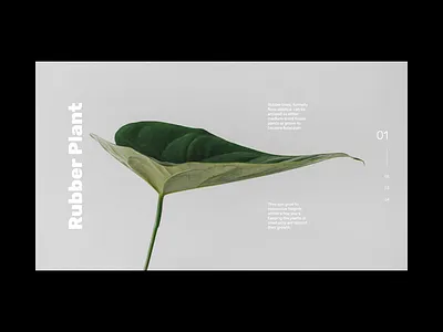 Web Design Studies Vol. 01 - 07 adobe xd design grid grid design grid layout grid system layout layout design minimal minimalism minimalist web web design web layout