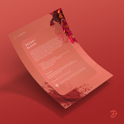 Brochure design branding design graphic design