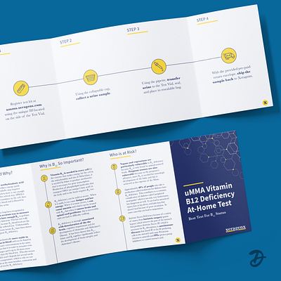 Brochure design branding design graphic design illustration logo typography