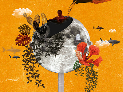 Flower Moon🌵 adobe digital art flowers illustration naturer new news photoshop