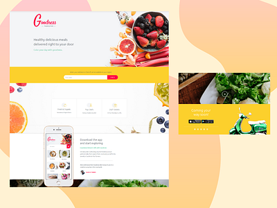 Food Ordering App Website Concept design ui ux webdesign webdevelopment website website concept website design wordpress wordpress design